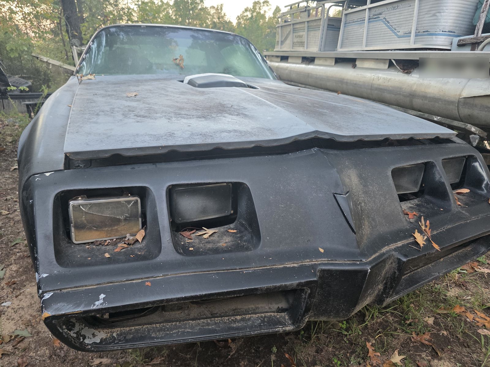 Front of the black Pontiac Trans Am with faded paint and leaves in the headlight buckets
